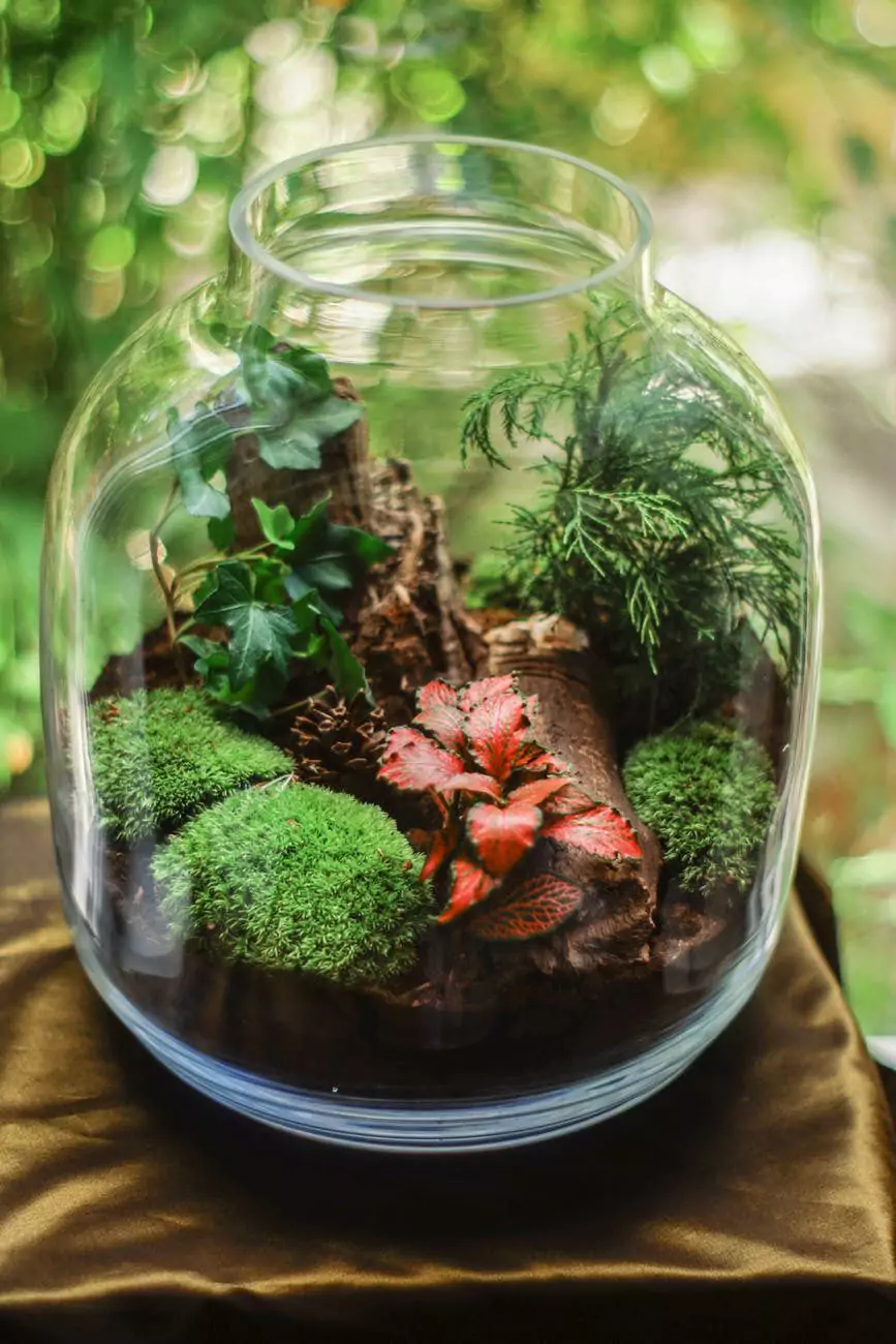 image of moss decoration in bottle