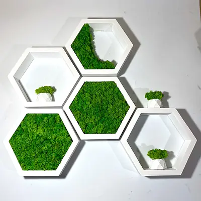 image of moss decor