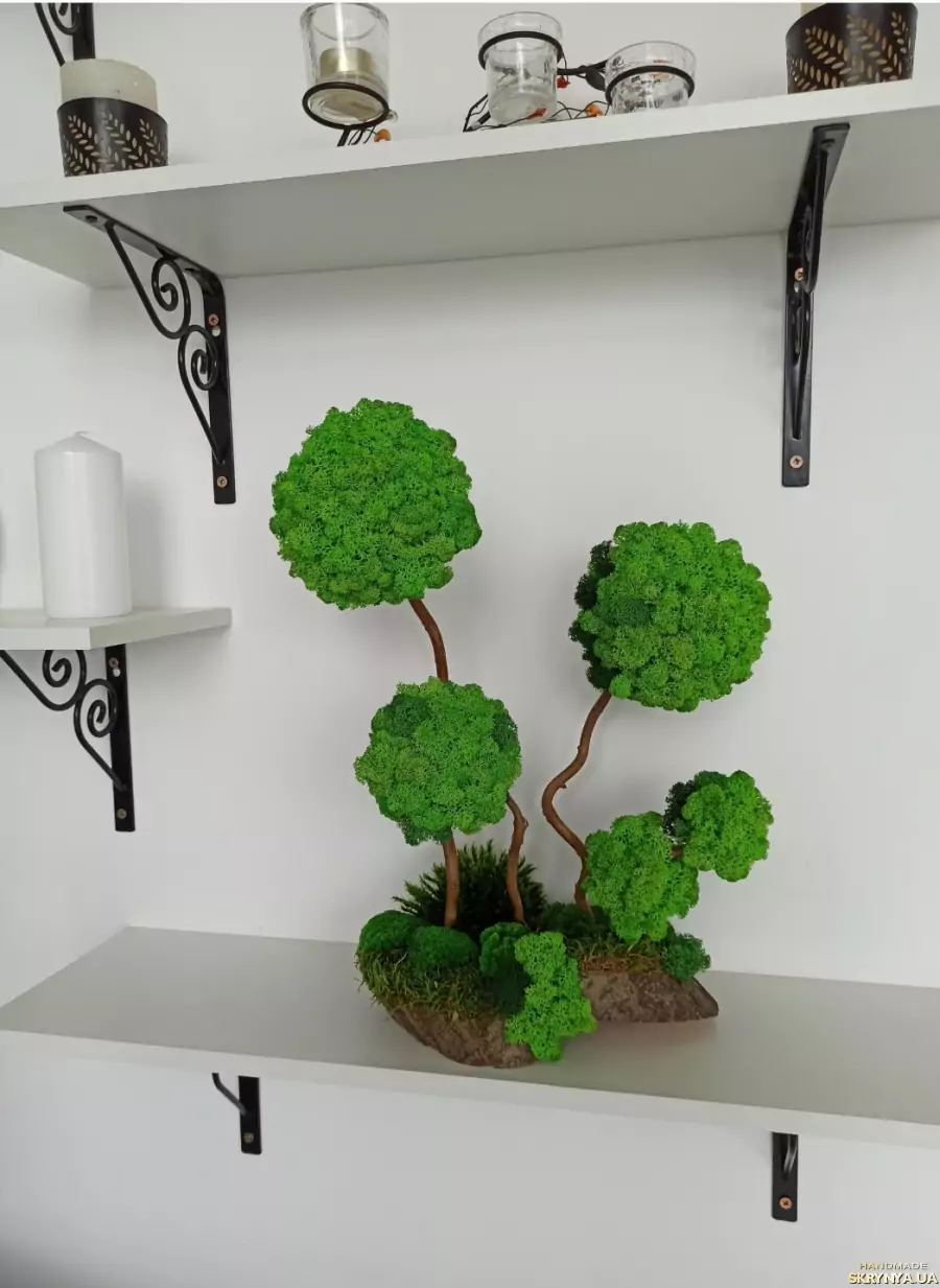 image of tree moss decoration